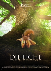 Die Eiche – Mein Zuhause